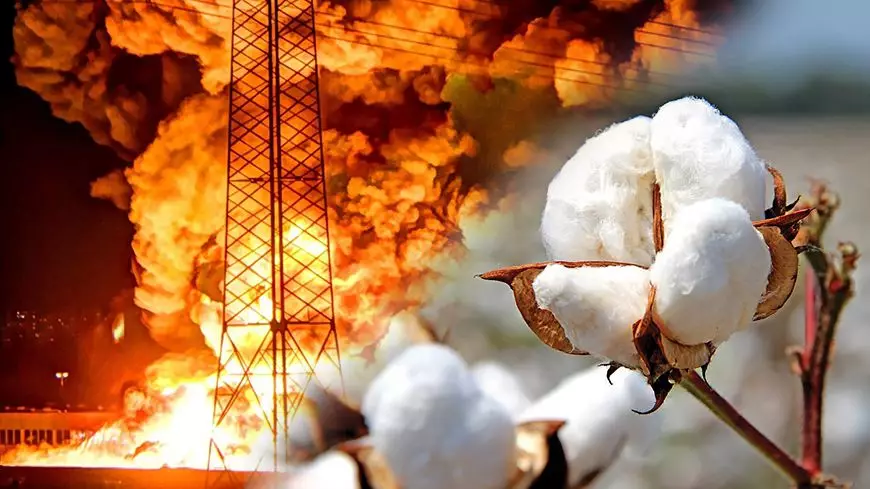 бавовна на украинском