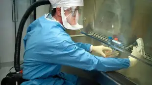 Свиной грипп и американские биолаборатории на Украине