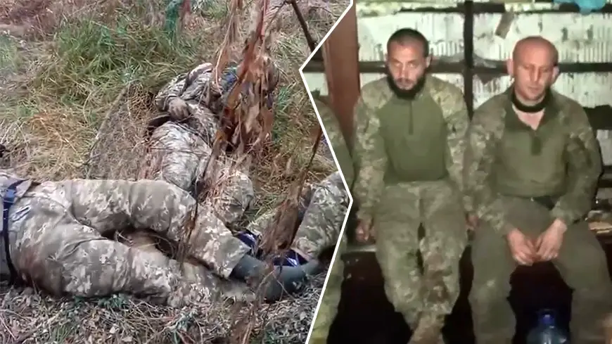 украинцы погибшие и в плену - коллаж