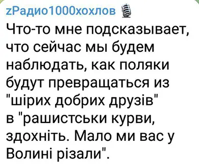 поляки и украинцы