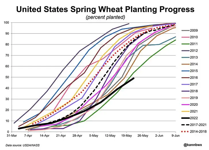Посевная яровой пшеницы в США