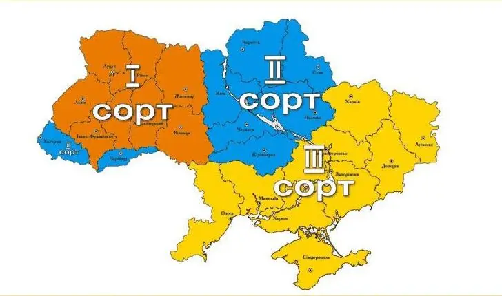 Сорта украинцев