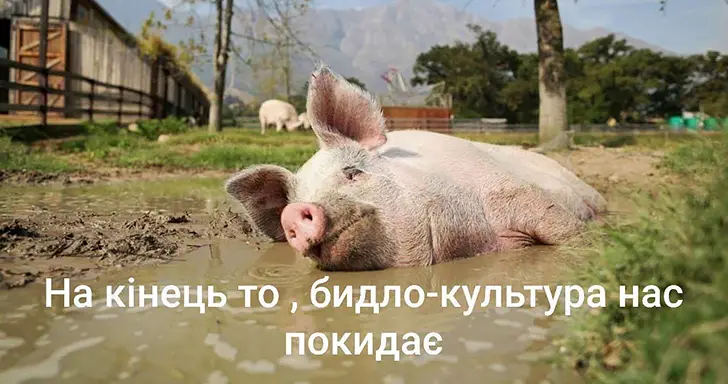 Культурная перемога украинцев в глазах русских