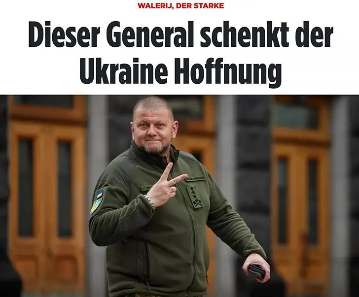 Bild Залужный