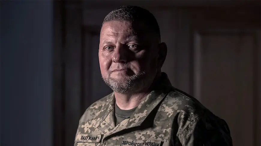 Валерий Залужный уволен