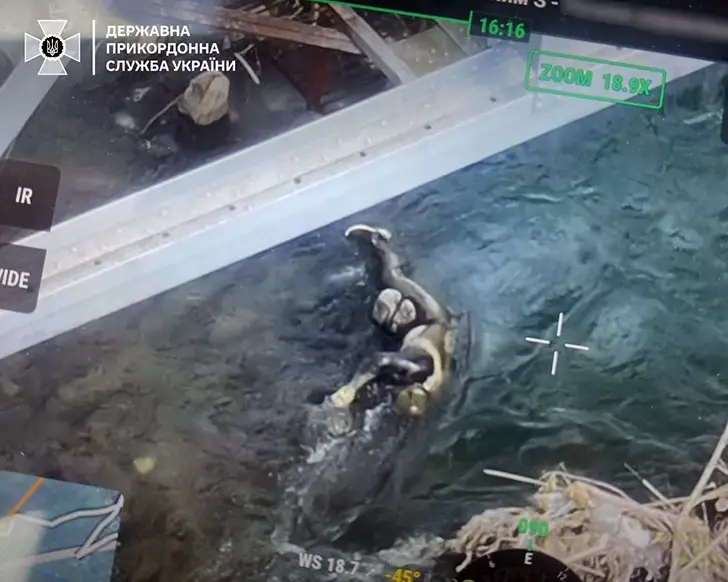 колючая проволока тиса