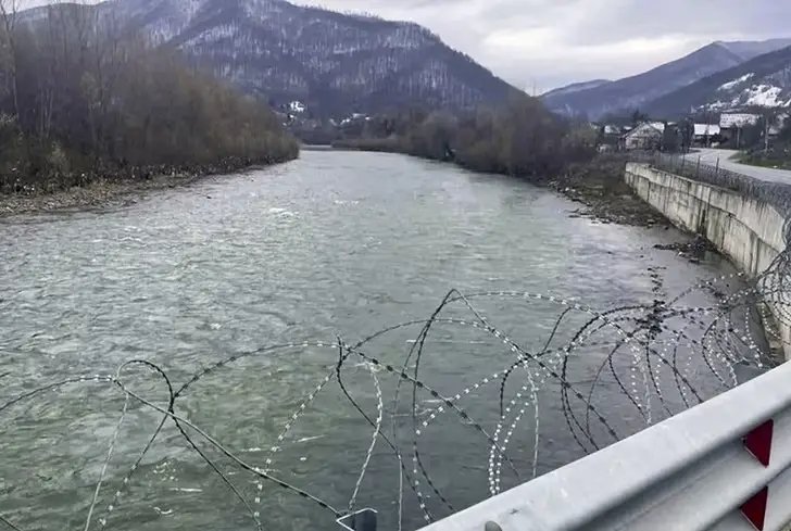 колючая проволока тиса