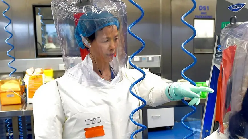 Доктор Ши Чжэнли в своей лаборатории