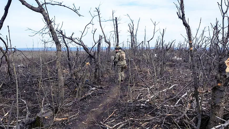 украина мясорубка