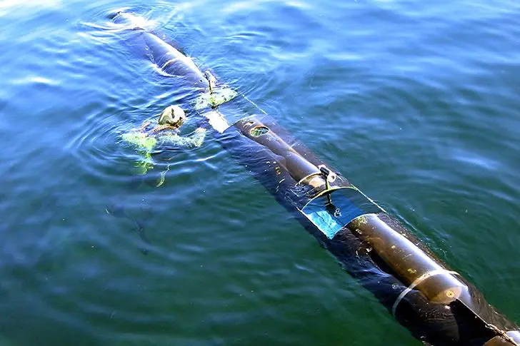 Украинские боевые пловцы