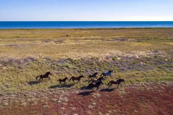 Кинбурнская коса