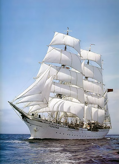 Парусник Товарищ