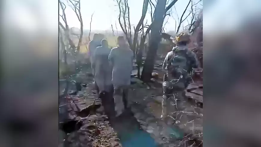 пленные украинцы