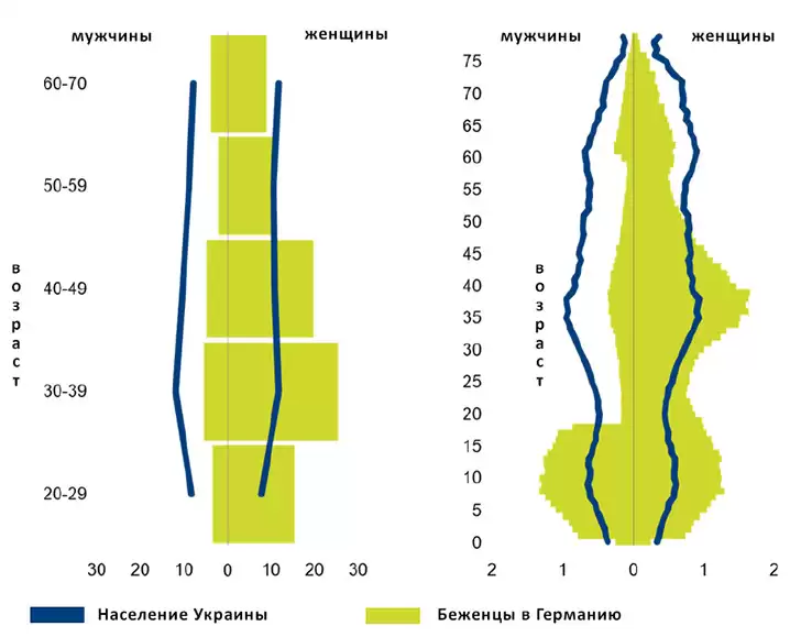 половозрастной состав населения Украины и украинских беженцев в Германии - график