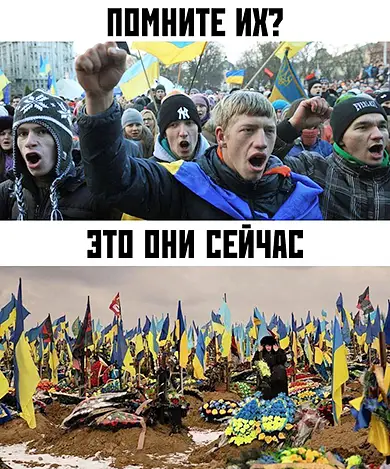 украинцы сегодня