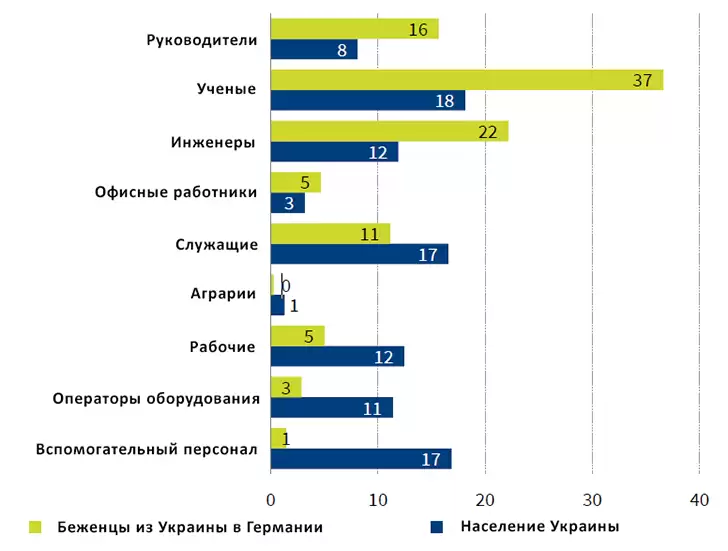 Профессиональный профиль украинских беженцев - график