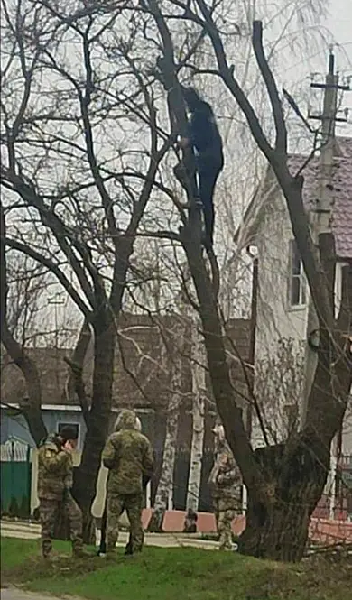 человек на дереве