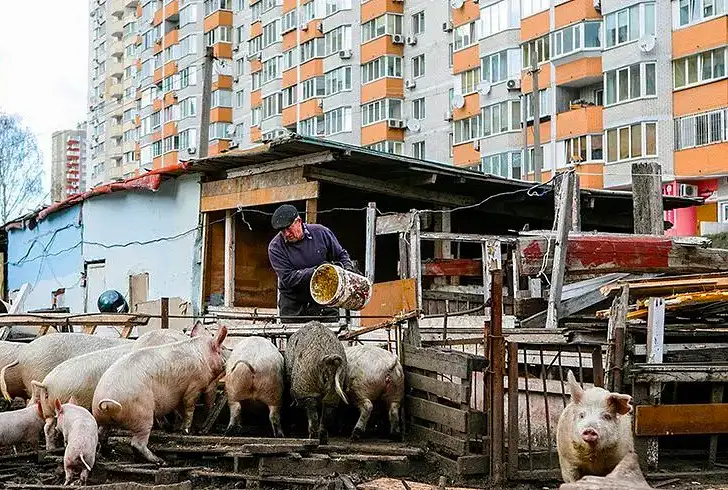 украинский дух